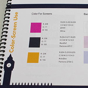 a thumbnail of the Berry Kane Style Booklet